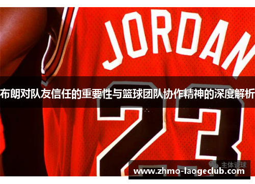 布朗对队友信任的重要性与篮球团队协作精神的深度解析