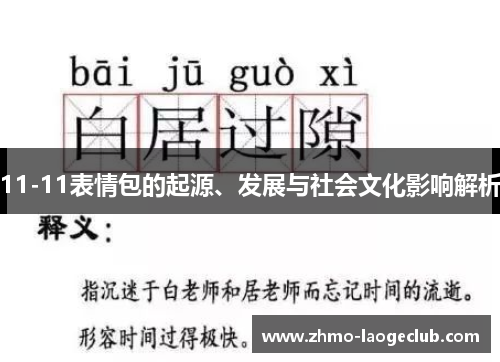 11-11表情包的起源、发展与社会文化影响解析