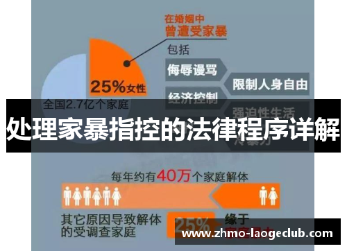 处理家暴指控的法律程序详解