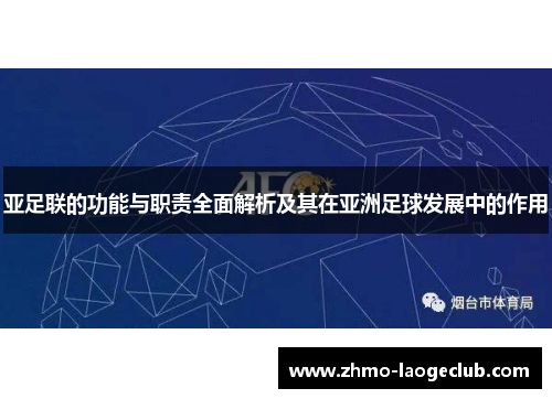 亚足联的功能与职责全面解析及其在亚洲足球发展中的作用