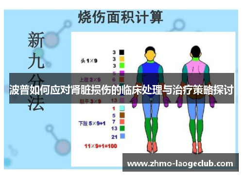 波普如何应对肾脏损伤的临床处理与治疗策略探讨